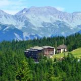 Commerces 20 pièces / 1000 m² / 235 000 € / SELONNET